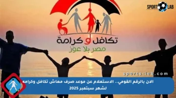 الآن بالرقم القومي.. الاستعلام عن موعد صرف معاش تكافل وكرامة لشهر سبتمبر 2025